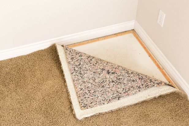 Why You Need a Rug Pad for Your Area Rug